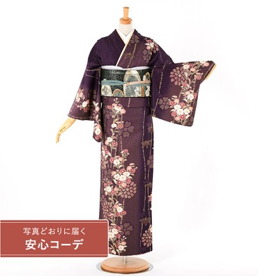【写真どおりに届く安心コーデ】訪問着レンタル　訪問着Lサイズ　ブランド：H・L　縦縞に菊桜　紫