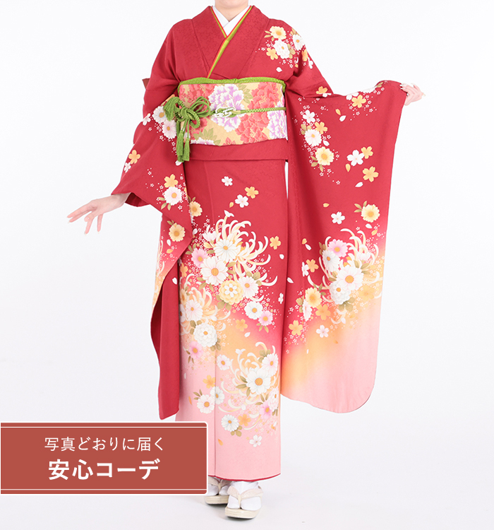 【写真どおりに届く安心コーデ】振袖レンタル　振袖LLサイズ　桜と菊　赤
