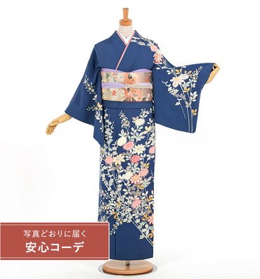 【写真どおりに届く安心コーデ】訪問着レンタル　訪問着Sサイズ　加賀友禅：白坂幸蔵　菊梅　青