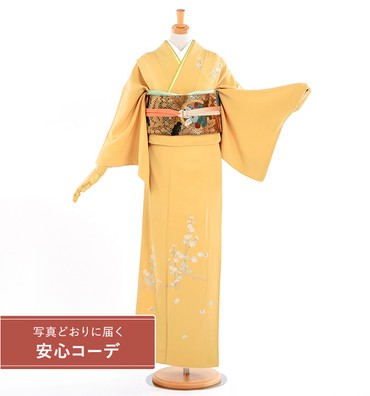 【写真どおりに届く安心コーデ】訪問着レンタル　訪問着Lサイズ　京刺繍：森康次　風韻　辛子
