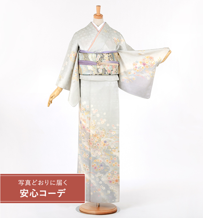 【写真どおりに届く安心コーデ】訪問着レンタル　訪問着Lサイズ　花の丸草花文　薄グレー