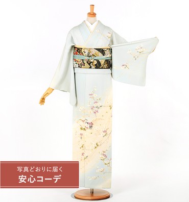 【写真どおりに届く安心コーデ】訪問着レンタル　訪問着Lサイズ　草花文　水色