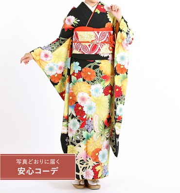 【写真どおりに届く安心コーデ】振袖レンタル　振袖Mサイズ　ブランド：JAPANSTYLE　菊桜に蝶の舞　黒/黄クリーム