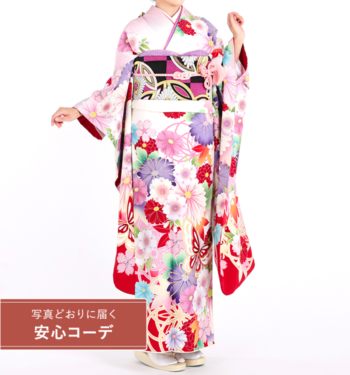 【写真どおりに届く安心コーデ】振袖レンタル　振袖Mサイズ　ブランド：JAPANSTYLE　菊桜に蝶の舞　白/赤