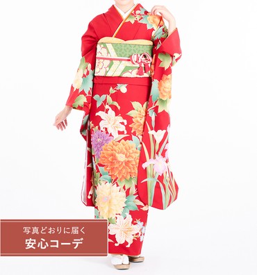 【写真どおりに届く安心コーデ】振袖レンタル　振袖Mサイズ　ブランド：きもの道楽　アヤメと牡丹　赤