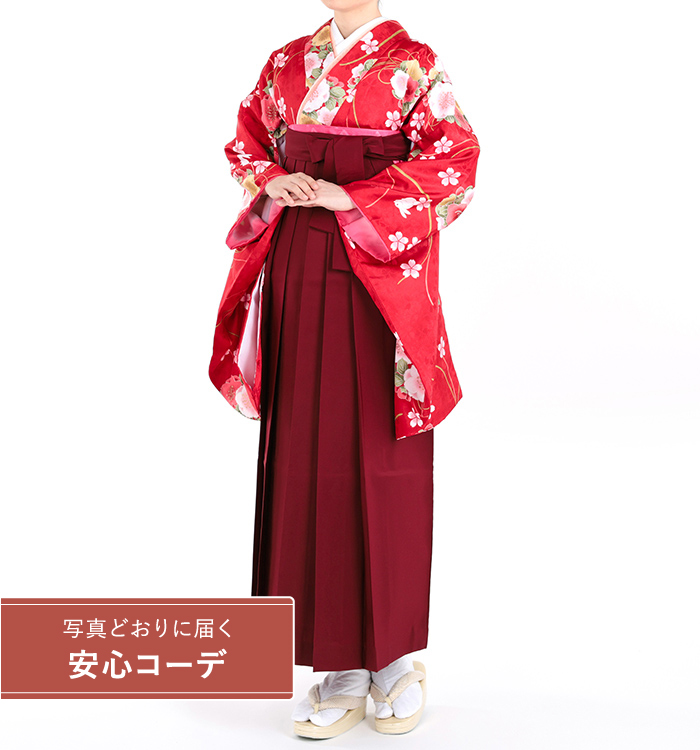 卒業式袴レンタル　小振袖Mサイズ＋袴セット　桜と桔梗　朱赤