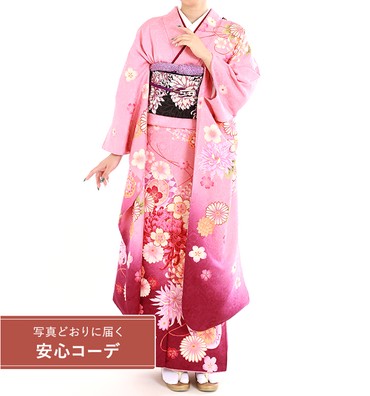 【写真どおりに届く安心コーデ】振袖レンタル　振袖Mサイズ　鼓に菊桜　ピンク