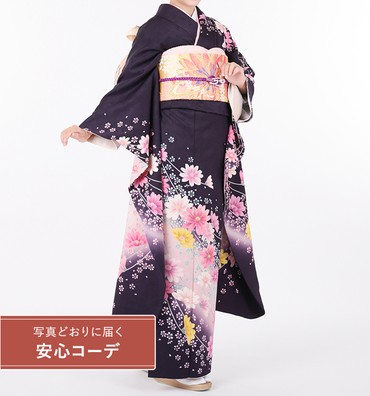 【写真どおりに届く安心コーデ】振袖レンタル　振袖Lサイズ　菊舞　紫