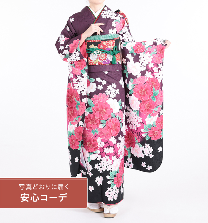 【写真どおりに届く安心コーデ】振袖レンタル　振袖Mサイズ　ブランド：H・L（アッシュエル）桜　濃紫/ピンク