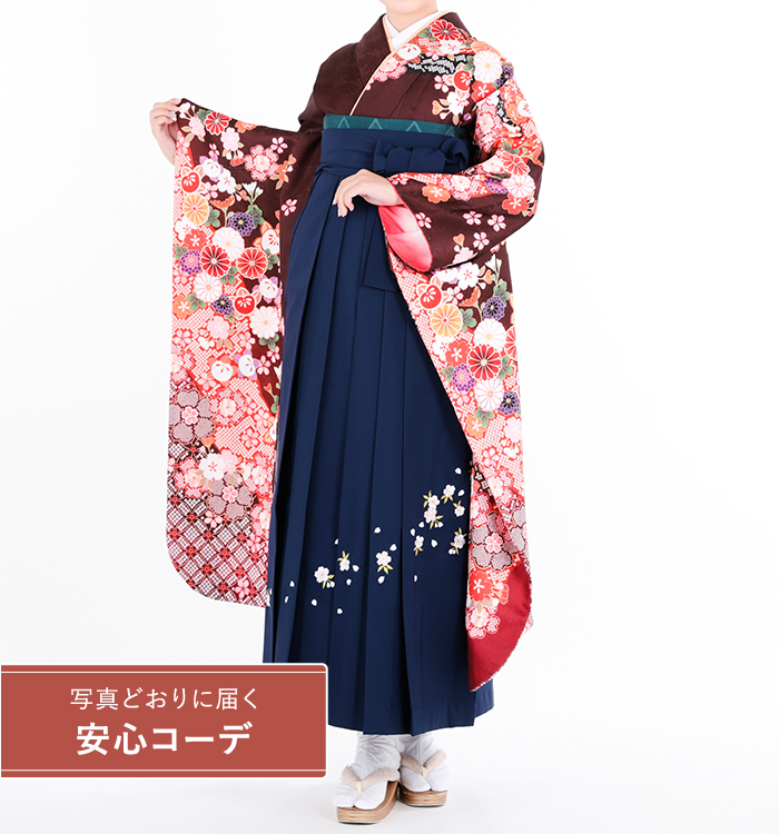 卒業式レンタル　振袖Mサイズ＋袴セット　ブランド：H・L（アッシュエル）絞り風　貝桶四季花鹿子　濃茶