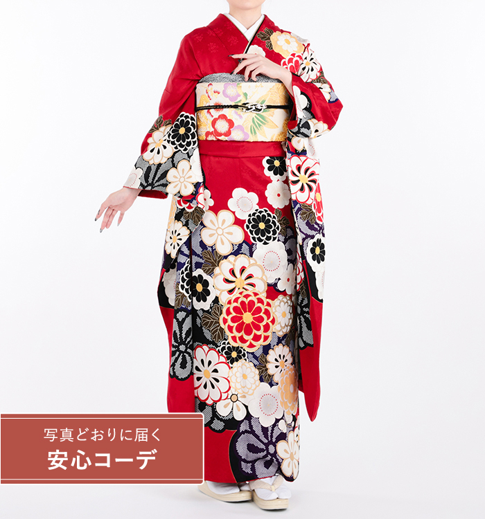 【写真どおりに届く安心コーデ】振袖レンタル　振袖Lサイズ　桜に菊　赤