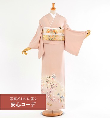 【写真どおりに届く安心コーデ】色留袖レンタル　色留袖Lサイズ　梅と菖蒲　ピンク　五つ紋：木瓜