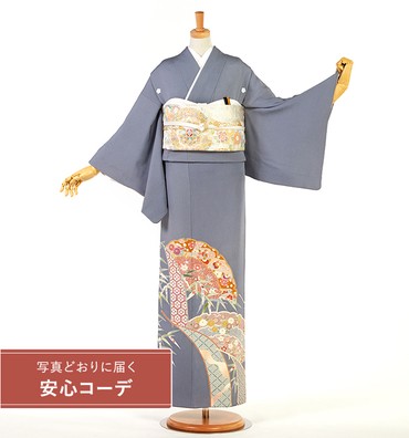 【写真どおりに届く安心コーデ】色留袖レンタル　色留袖Lサイズ　京友禅：雪輪取り吉祥文　青グレー　五つ紋：桔梗