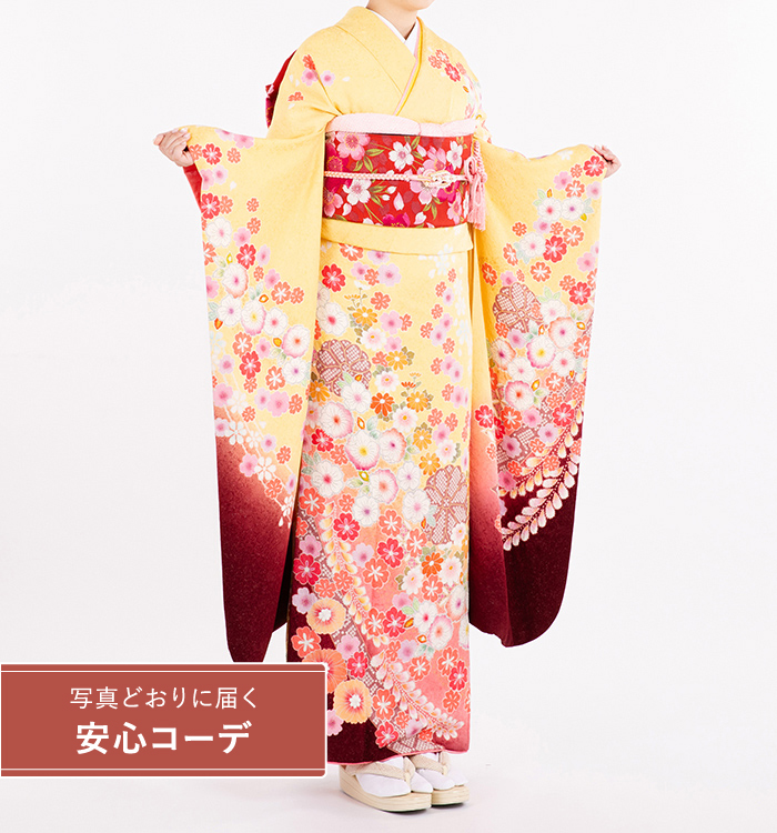 【写真どおりに届く安心コーデ】振袖レンタル　振袖Lサイズ　藤に菊桜　黄