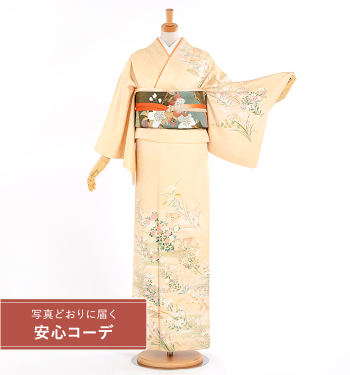 【写真どおりに届く安心コーデ】訪問着レンタル　訪問着Lサイズ　霞暈しに花文様　クリーム