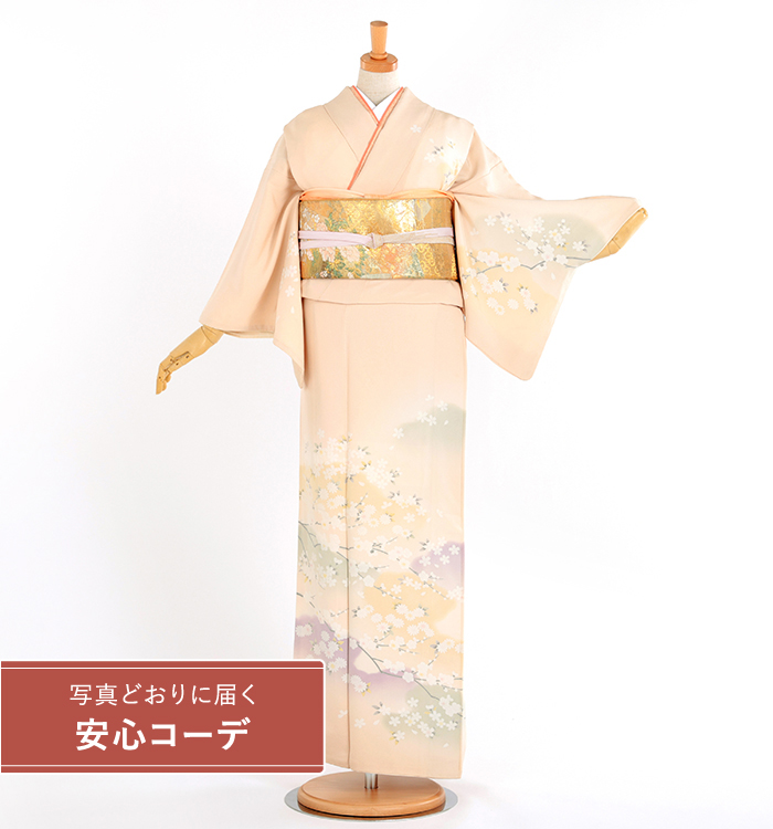 【写真どおりに届く安心コーデ】訪問着レンタル　訪問着Lサイズ　遠山に菊桜　薄ピンク