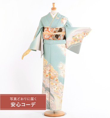 【写真どおりに届く安心コーデ】訪問着レンタル　訪問着Lサイズ　雪輪に草花　水色