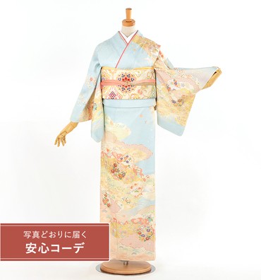 【写真どおりに届く安心コーデ】訪問着レンタル　訪問着Sサイズ　雪輪四季花　水色