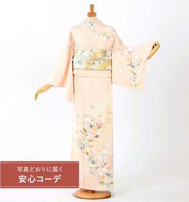 【写真どおりに届く安心コーデ】訪問着レンタル　訪問着Lサイズ　菊と四季花　薄ピンク