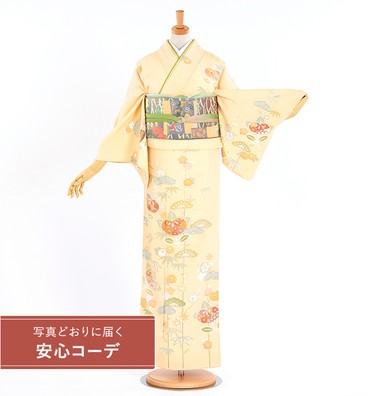 【写真どおりに届く安心コーデ】訪問着レンタル　訪問着Lサイズ　橘四季花文　クリーム