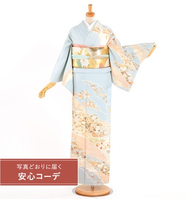 【写真どおりに届く安心コーデ】訪問着レンタル　訪問着Lサイズ　雪輪重四季花文　水色