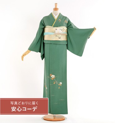 【写真どおりに届く安心コーデ】訪問着レンタル　訪問着Lサイズ　京刺繍：森康次　椿　緑