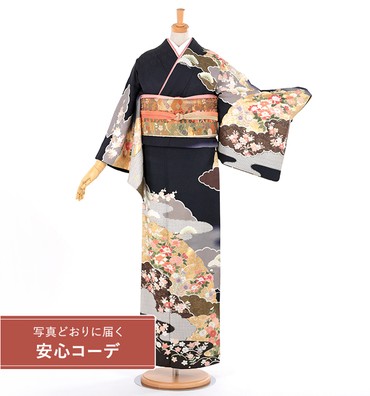 【写真どおりに届く安心コーデ】訪問着レンタル　訪問着Lサイズ　雲取草花文　濃紺