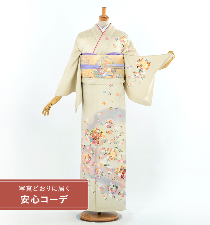 【写真どおりに届く安心コーデ】訪問着レンタル　訪問着Mサイズ　雪輪草花文　薄黄緑