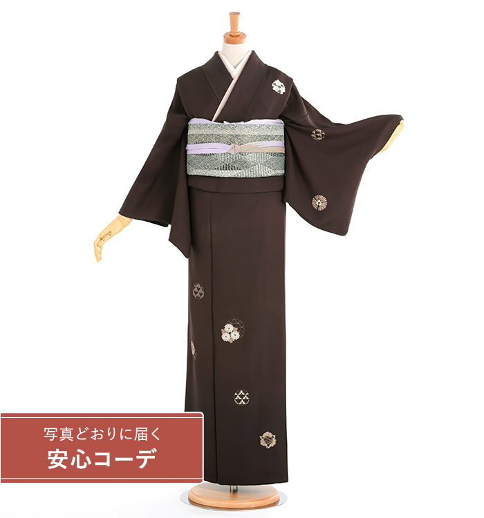 【写真どおりに届く安心コーデ】訪問着レンタル　訪問着Lサイズ　刺繍：松竹梅菊文　濃赤茶