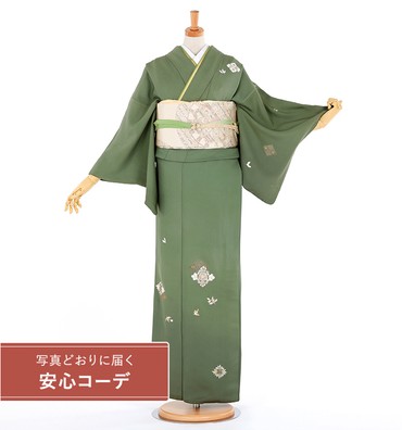 【写真どおりに届く安心コーデ】訪問着レンタル　訪問着Lサイズ　刺繍：花菱　緑