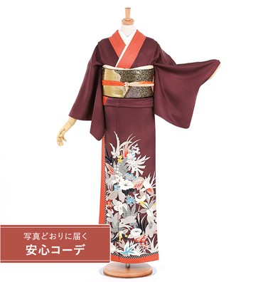 【写真どおりに届く安心コーデ】訪問着レンタル　訪問着Mサイズ　デザイナー：コシノヒロコ　花鳥　古代紫