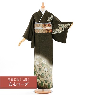 【写真どおりに届く安心コーデ】訪問着レンタル　訪問着Mサイズ　絞り　辻ヶ花木立に小花　濃緑
