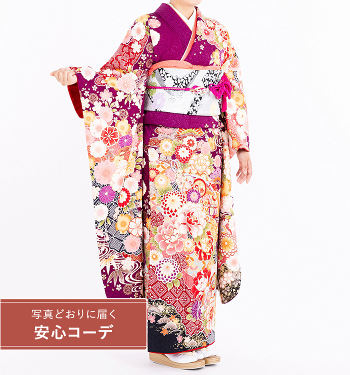 【写真どおりに届く安心コーデ】振袖レンタル　振袖Sサイズ　菊桜散らし　濃紫