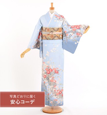 【写真どおりに届く安心コーデ】訪問着レンタル　訪問着Lサイズ　ブランド：H・L　流水に菊桜文　水色