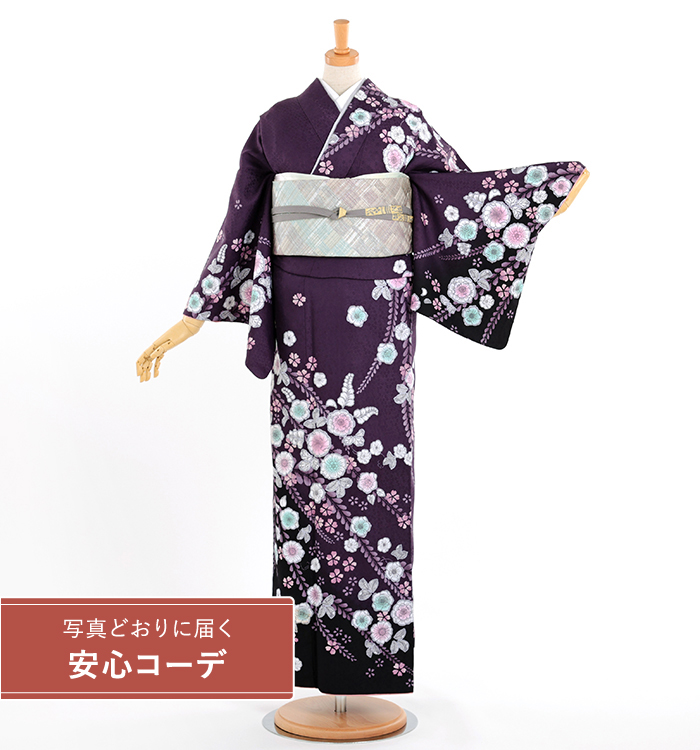 【写真どおりに届く安心コーデ】訪問着レンタル　訪問着Lサイズ　ブランド：H・L　辻ヶ花　古代紫