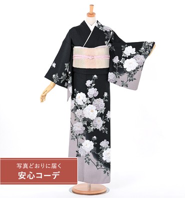 【写真どおりに届く安心コーデ】訪問着レンタル　訪問着Lサイズ　ブランド：H・L　百花牡丹　黒/グレー
