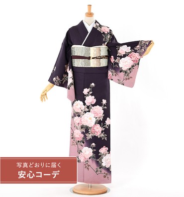 【写真どおりに届く安心コーデ】訪問着レンタル　訪問着Lサイズ　ブランド：H・L　百花牡丹　紫/ピンク