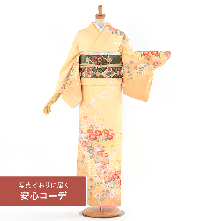 【写真どおりに届く安心コーデ】訪問着レンタル　訪問着Lサイズ　ブランド：H・L　流水に菊桜　薄オレンジ