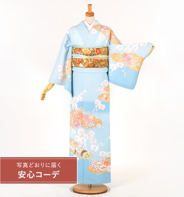 【写真どおりに届く安心コーデ】訪問着レンタル　訪問着Lサイズ　金彩雲取百華　水色