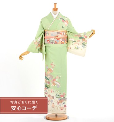 【写真どおりに届く安心コーデ】訪問着レンタル　訪問着Lサイズ　ブランド：JAPANSTYLE　流水に松竹梅　黄緑