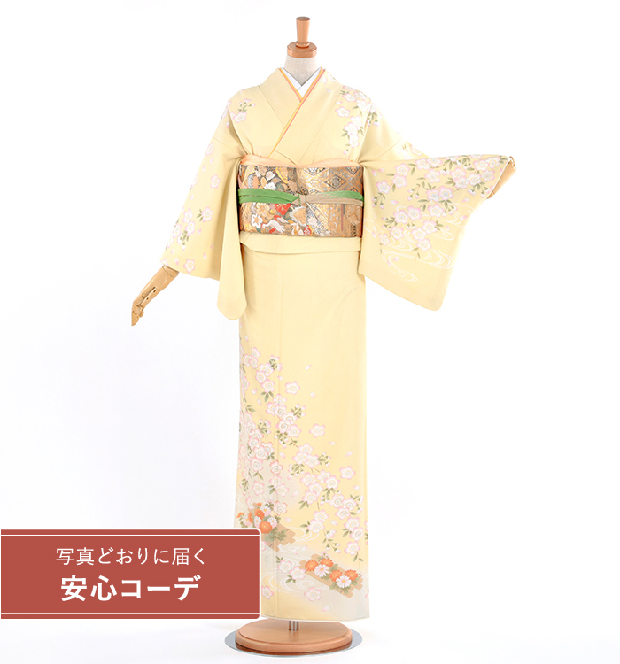 【写真どおりに届く安心コーデ】訪問着レンタル　訪問着Lサイズ　ブランド：JAPANSTYLE　流水に桜菊　クリーム