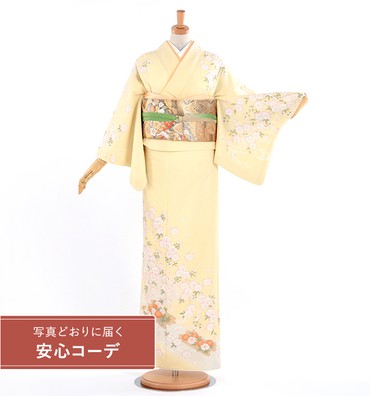 【写真どおりに届く安心コーデ】訪問着レンタル　訪問着Lサイズ　ブランド：JAPANSTYLE　流水に桜菊　クリーム