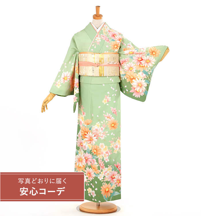 【写真どおりに届く安心コーデ】訪問着レンタル　訪問着MOサイズ　菊桜舞　グリーン