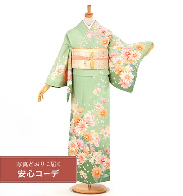 【写真どおりに届く安心コーデ】訪問着レンタル　訪問着MOサイズ　菊桜舞　グリーン