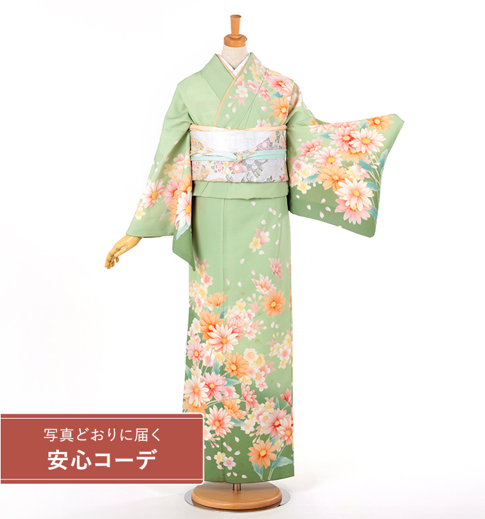 【写真どおりに届く安心コーデ】訪問着レンタル　訪問着LLOサイズ　菊桜舞　グリーン