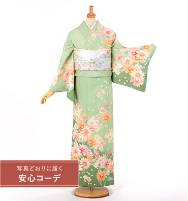 【写真どおりに届く安心コーデ】訪問着レンタル　訪問着LLOサイズ　菊桜舞　グリーン