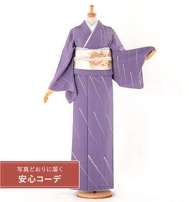【写真どおりに届く安心コーデ】訪問着レンタル　訪問着LLサイズ　京刺繍：森康次　光文様　藤紫