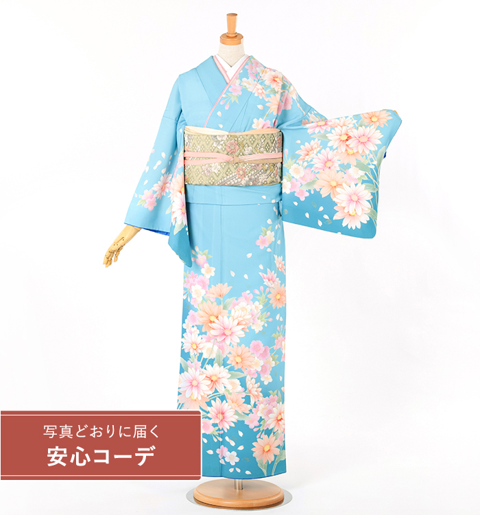 【写真どおりに届く安心コーデ】訪問着レンタル　訪問着LLサイズ　菊桜舞　水色