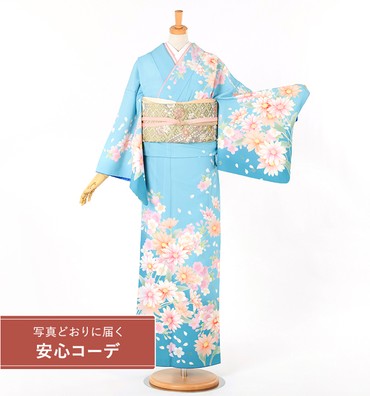 【写真どおりに届く安心コーデ】訪問着レンタル　訪問着LLサイズ　菊桜舞　水色