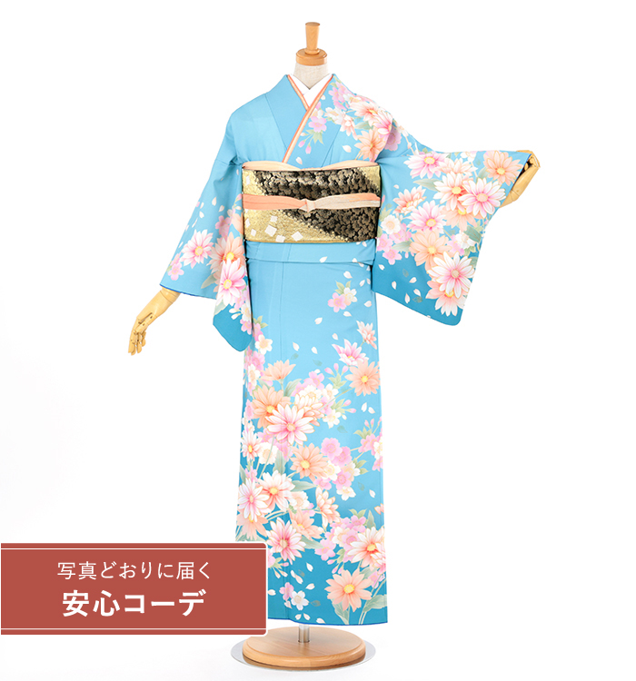 【写真どおりに届く安心コーデ】訪問着レンタル　訪問着Sサイズ　菊桜舞　水色